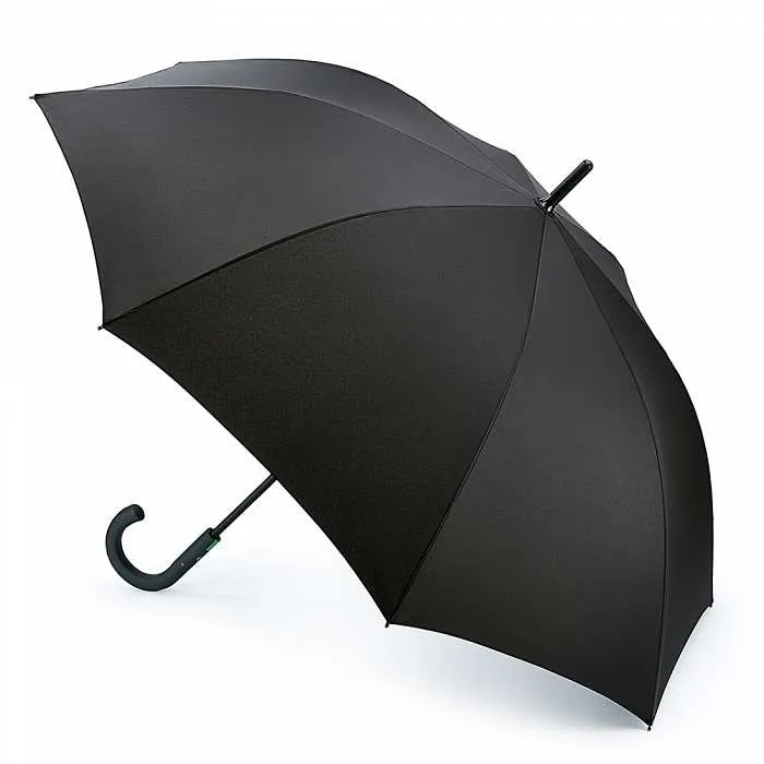 Fulton Typhoon 1