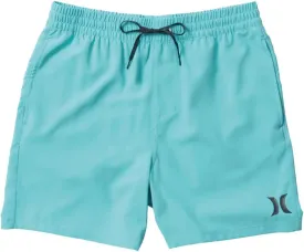 Hurley Men's One & Only Solid 17" Volley