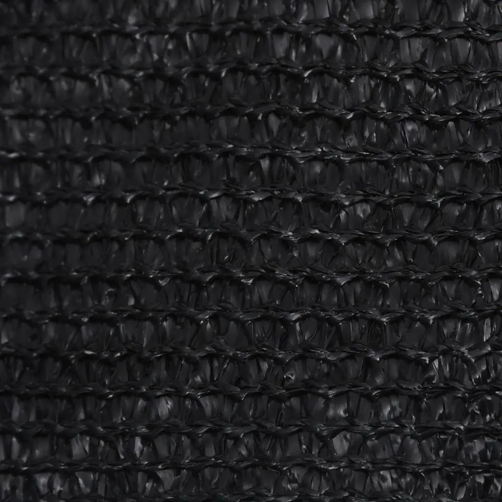 Sunshade Sail 160 g/m² Black 2.5x4 m HDPE